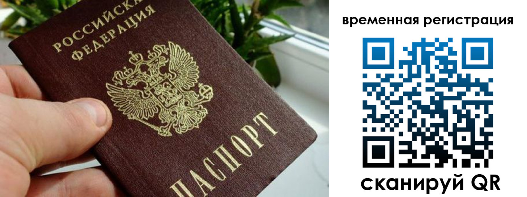 прописка поиск в Гулькевичах